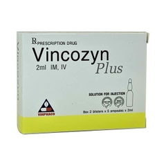 Vincozyn Plus - Vĩnh Phúc