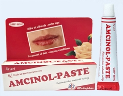 Amcinol Paste - Mekophar