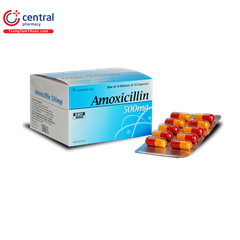 Amoxicillin 0,5 g - Hà Tây