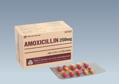 Amoxicilin 250mg - Mekophar