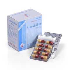Amoxicilin 500mg - DMC
