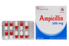 Ampicilin MKP 500mg - mekophar