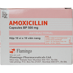 Amoxicylin 500mg (Flamigo) - ấn Độ