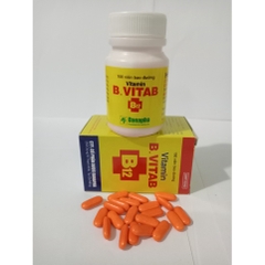 B.vitab B12