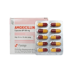 Amoxicylin 500mg (Flamigo) - ấn Độ