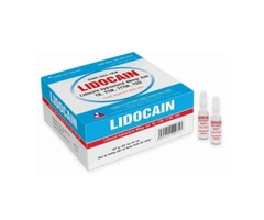 Lidocain 2% 40mg/2ml - Vinphaco