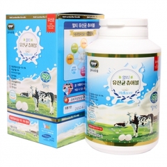 Kẹo sữa Multi Lactobacillus Chewable