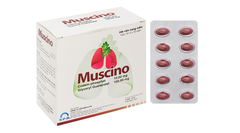 Muscino - SPM
