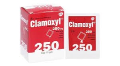 AmoxFap 250mg - Thanh Hoá