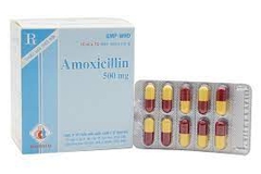 Amoxicilin 500mg - DMC