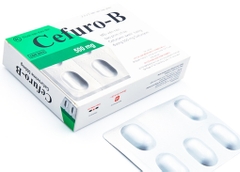 Cefuro B 500 -Tenamid