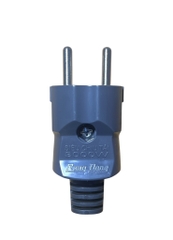 Phích cắm CN Rạng Đông PC01