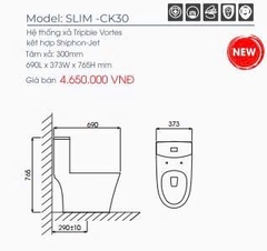 Bồn cầu khối TT SLIM-K30