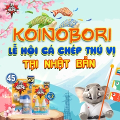 KHÁM PHÁ LỄ HỘI KOINOBORI THÚ VỊ TẠI NHẬT BẢN!
