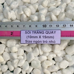 (500g) Đá sỏi trắng trang trí | Tada Craft