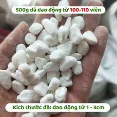 (500g) Đá sỏi trắng trang trí | Tada Craft