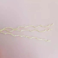 Len bông xù Xiaoke 50g | Tada Craft