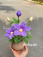 Chậu hoa len chi ông lão handmade | Tada Craft