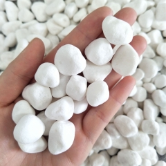 (500g) Đá sỏi trắng trang trí | Tada Craft