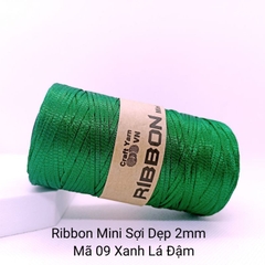 Sợi Ribbon mini 2mm Craft Yarn | Tada Craft