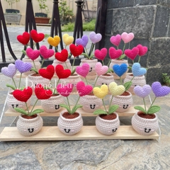Chậu hoa len trái tim đôi
