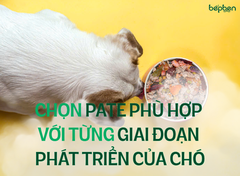 CHỌN PATE PHÙ HỢP VỚI TỪNG GIAI ĐOẠN PHÁT TRIỂN CỦA CHÓ