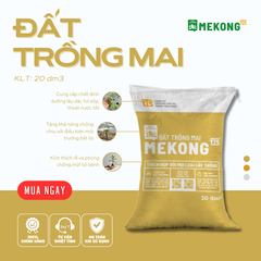 Đất Trồng Mai Mekong TTS 20dm3