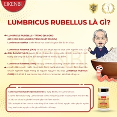 Viên Uống Lumbrokinase EX Eikenbi Tan Cục Máu Đông & Chống Đột Quỵ [60 viên]