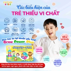 Siro Háu Ăn Lợi Khuẩn Yến Tươi Grow Power Plus Eikenbi Kids [Hộp 15 ống]