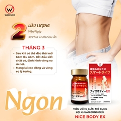 Viên Uống Giảm Mỡ Bụng Lợi Khuẩn Gừng Đen Nice Body Wakenko [60 Viên]
