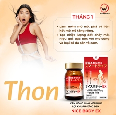Viên Uống Giảm Mỡ Bụng Lợi Khuẩn Gừng Đen Nice Body Wakenko [60 Viên]