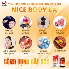Viên Uống Giảm Mỡ Bụng Lợi Khuẩn Gừng Đen Nice Body Wakenko [60 Viên]