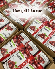 Táo Đỏ Tân Cương Size Vip Thượng Hạng Oaka Natsume Nhật Bản [Gói 500gr]