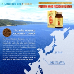 Viên Uống Phòng & Hỗ Trợ Điều Trị Ung Thư Nano Fucoidan Okinawa Kanehide Bio x Eikenbi [120 Viên]
