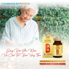 Viên Uống Phòng & Hỗ Trợ Điều Trị Ung Thư Nano Fucoidan Okinawa Kanehide Bio x Eikenbi [120 Viên]