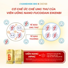 Viên Uống Phòng & Hỗ Trợ Điều Trị Ung Thư Nano Fucoidan Okinawa Kanehide Bio x Eikenbi [120 Viên]