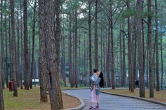 TERRACOTTA HOTEL & RESORT DALAT