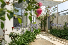 VILLA AN SƠN