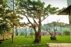 VILLA ĐỐNG ĐA