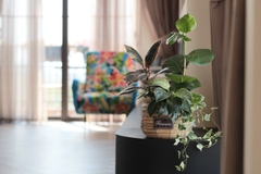 D’ART  VILLA