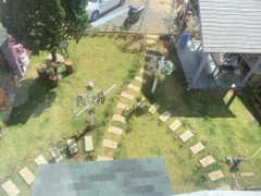 HỒ BƠI NGUYỄN SIÊU 1