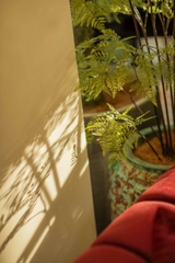 DALAT BOULEVARD VILLA