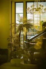 DALAT BOULEVARD VILLA