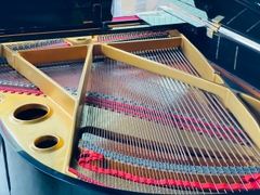 GRAND PIANO KAISER NO.G2