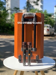 Loa Kéo SoundBox 125 ( Bass 30 )