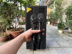 LOA KÉO BLUE B2 15-19 ( LOA 2 BASS ĐÔI 40 )