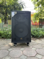 LOA KÉO CAO CẤP TEMESHENG GD 15-82 ( BASS 40 )
