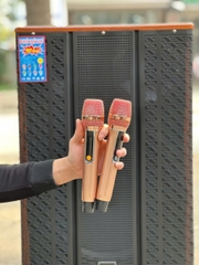 LOA DI ĐỘNG SB 8555 ( BASS 50 )