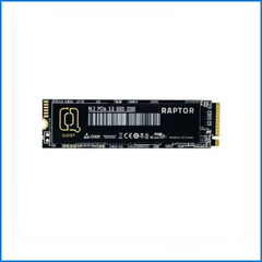 SSD RAPTOR M.2 NVME 3.0 256GB