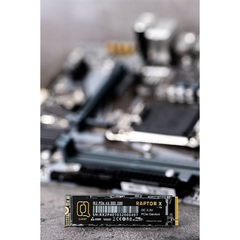 SSD RAPTOR M.2 NVME 3.0 256GB